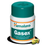 Gasex - 100 Tablets by Himalaya