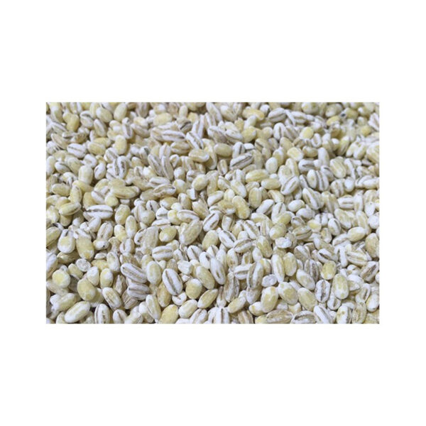 Barley - 100g