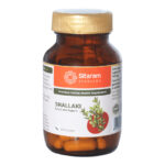 Shallaki | 60 Capsules by Sitaram Ayurveda